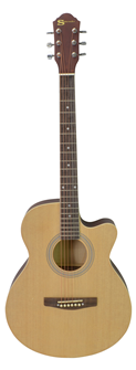 Acoustic Guitar in Choice of Colour 